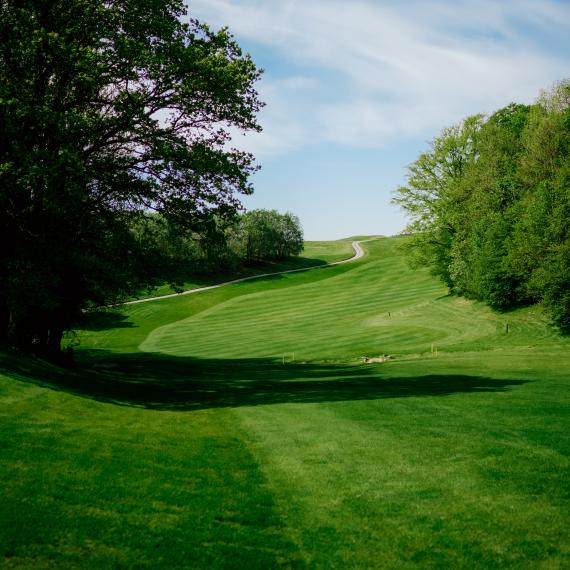 Terrain